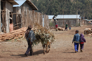 Ethiopia Children Walking to School